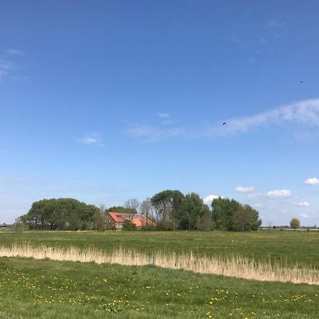 Ferienhof Spiegelhaus Krummhörn Exterior foto