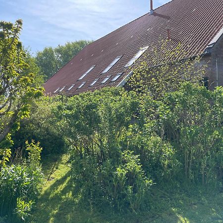 Ferienhof Spiegelhaus Krummhörn Exterior foto